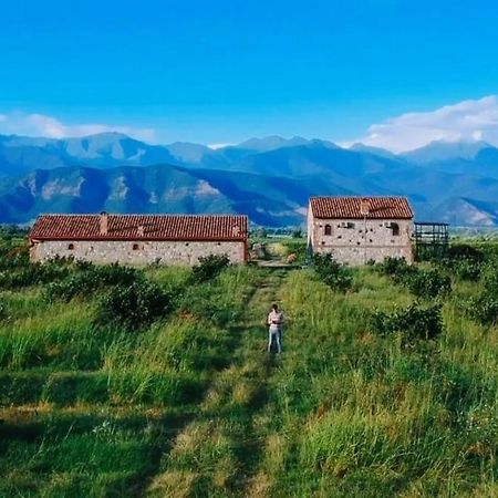 Вилла Mestvireni Телави Экстерьер фото