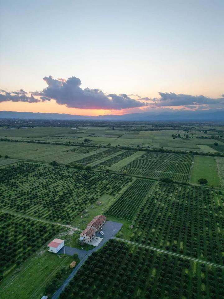 Вилла Mestvireni Телави Экстерьер фото