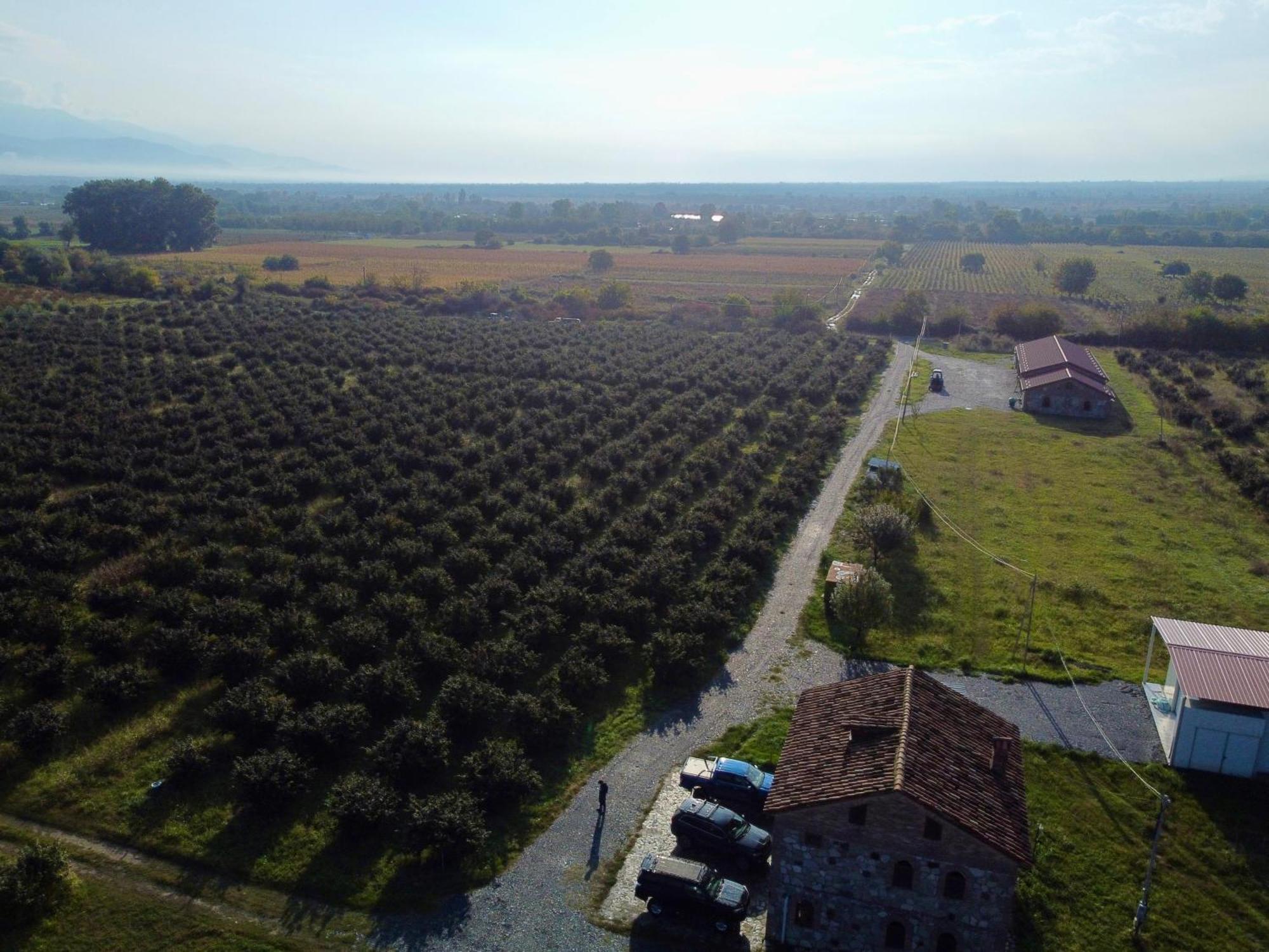 Вилла Mestvireni Телави Экстерьер фото